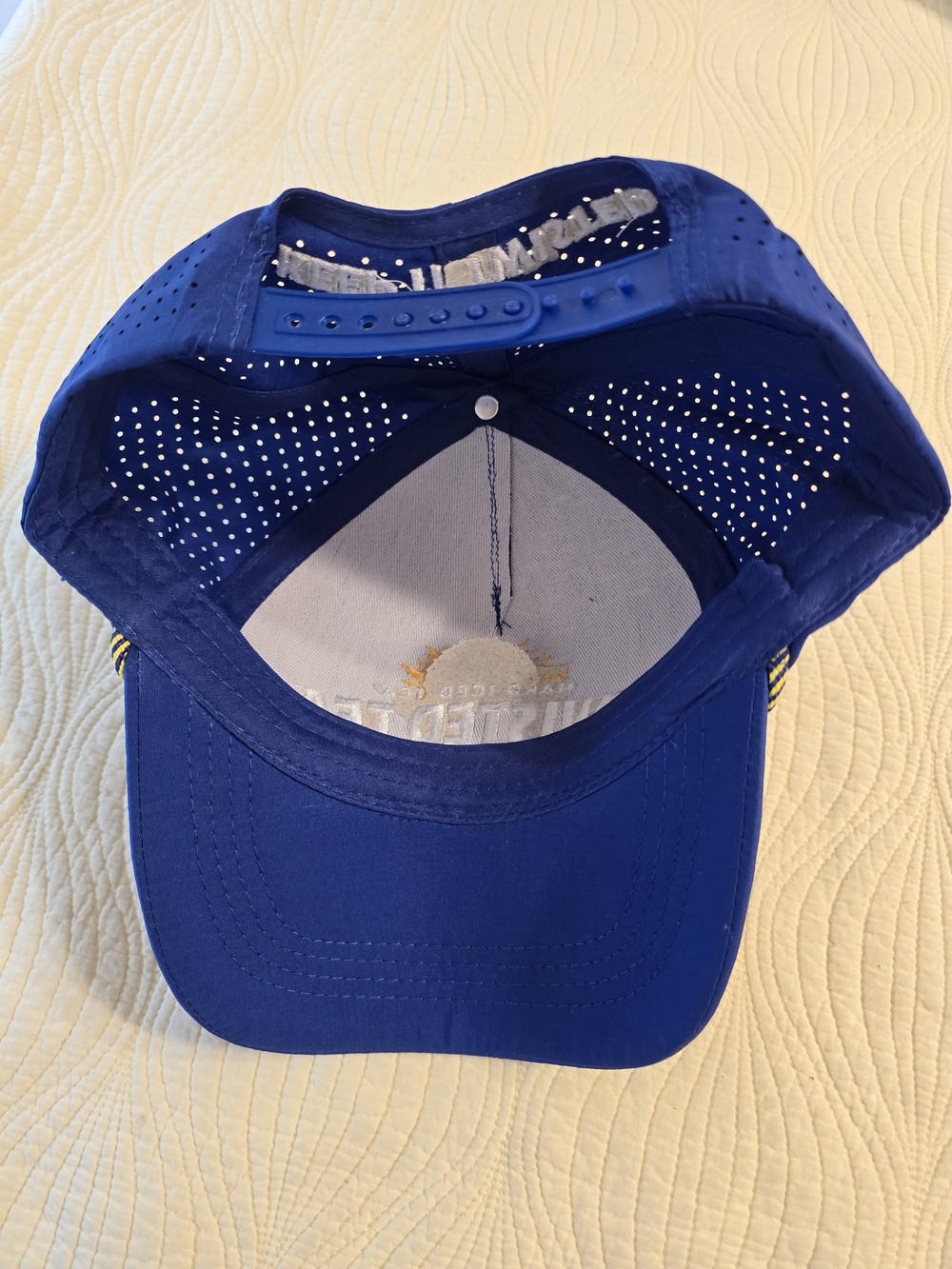 NWOT Twisted Tea Hard Iced Tea Baseball Hat - Picture 4 of 4